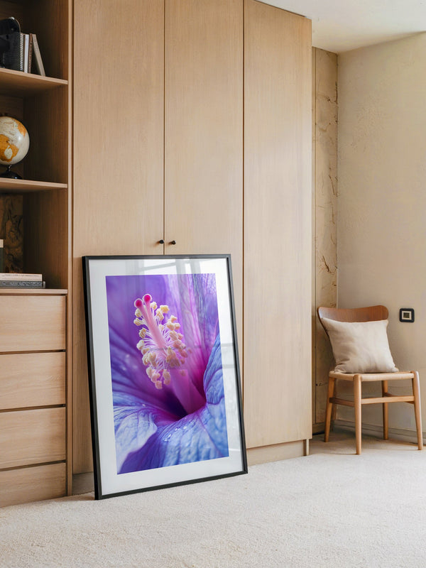 Hibiskus Blüte Makro lila