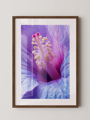 Hibiskus Blüte Makro lila