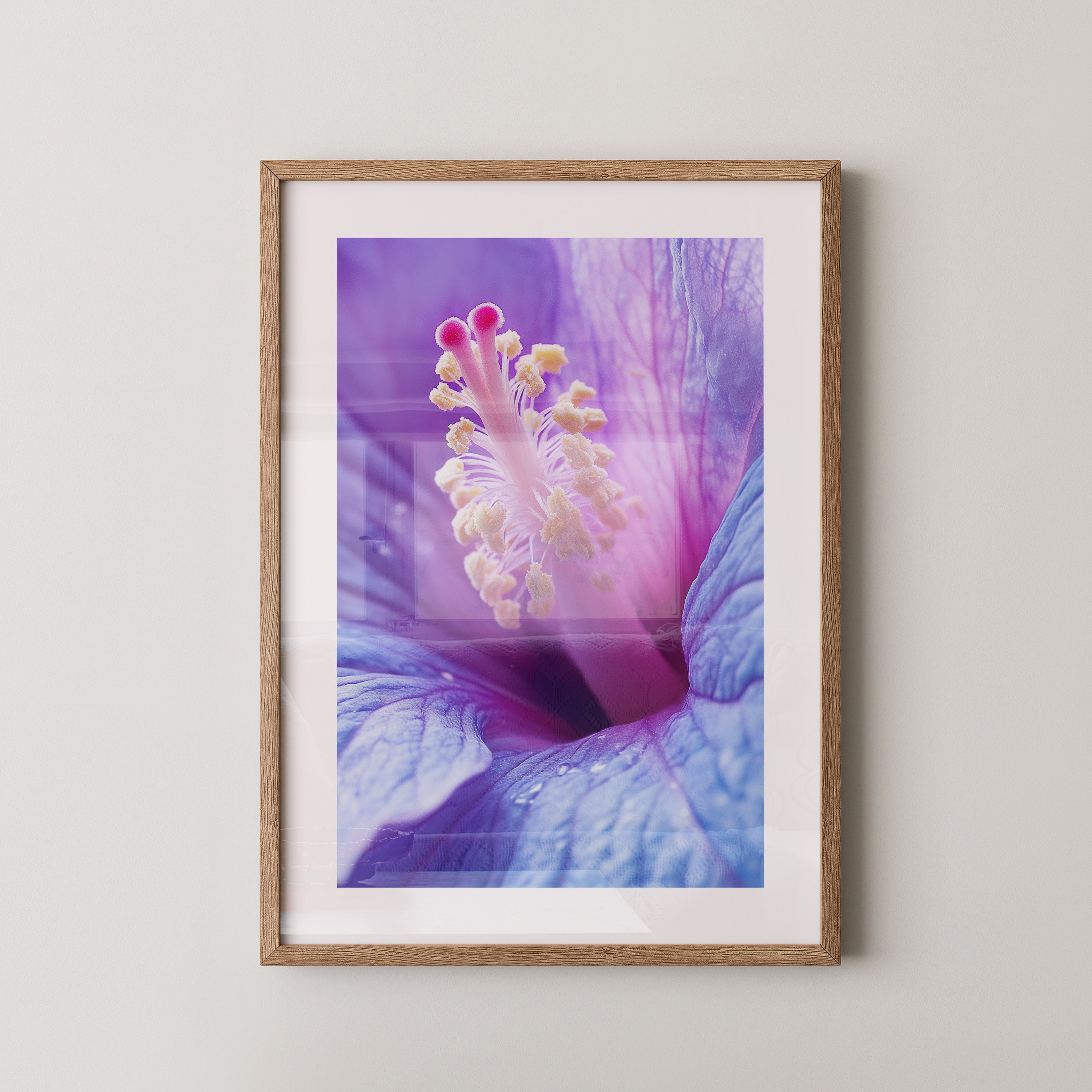 Hibiskus Blüte Makro lila