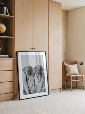 Hunde im Bademantel Grau