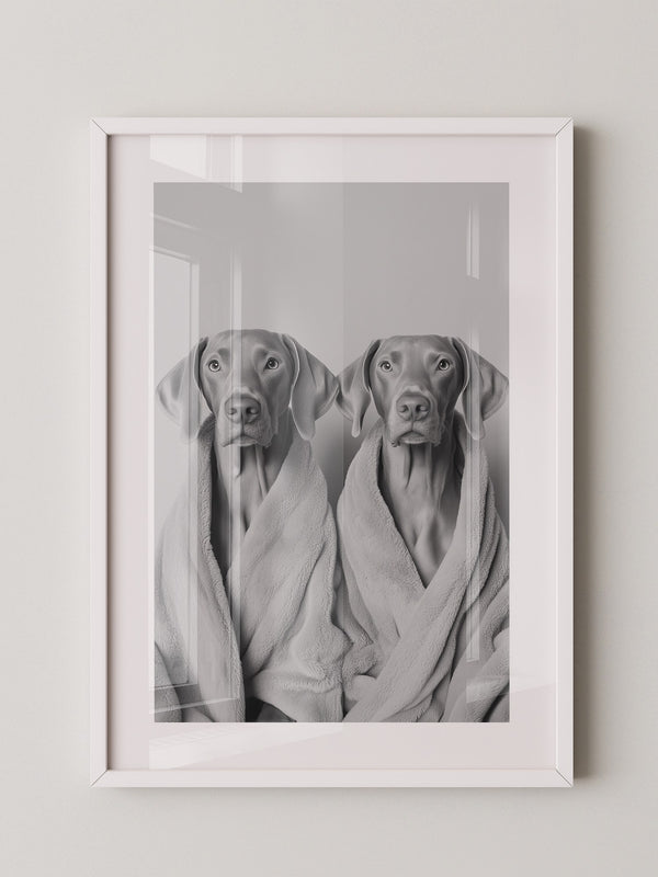 Hunde im Bademantel Grau