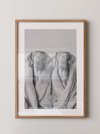 Hunde im Bademantel Grau
