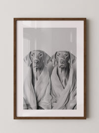 Hunde im Bademantel Grau