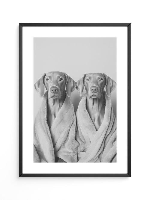 Hunde im Bademantel Grau