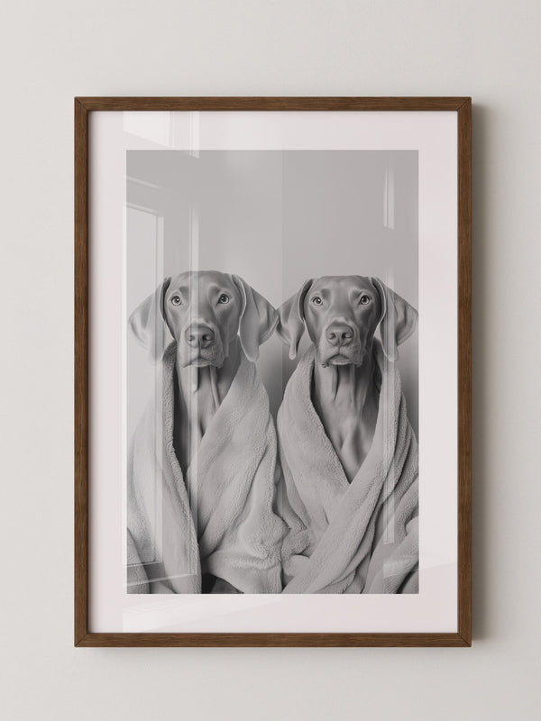 Hunde im Bademantel Grau