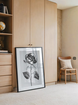 Silberne Rose glänzend