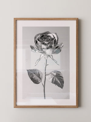 Silberne Rose glänzend