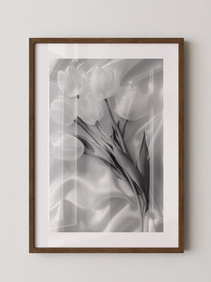 Weiße Tulpen Seide