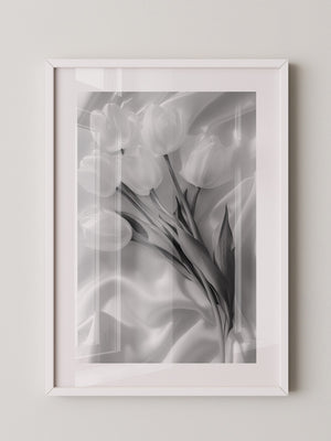 Weiße Tulpen Seide