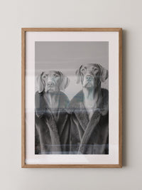 Hunde Pelzmantel Paar S/W