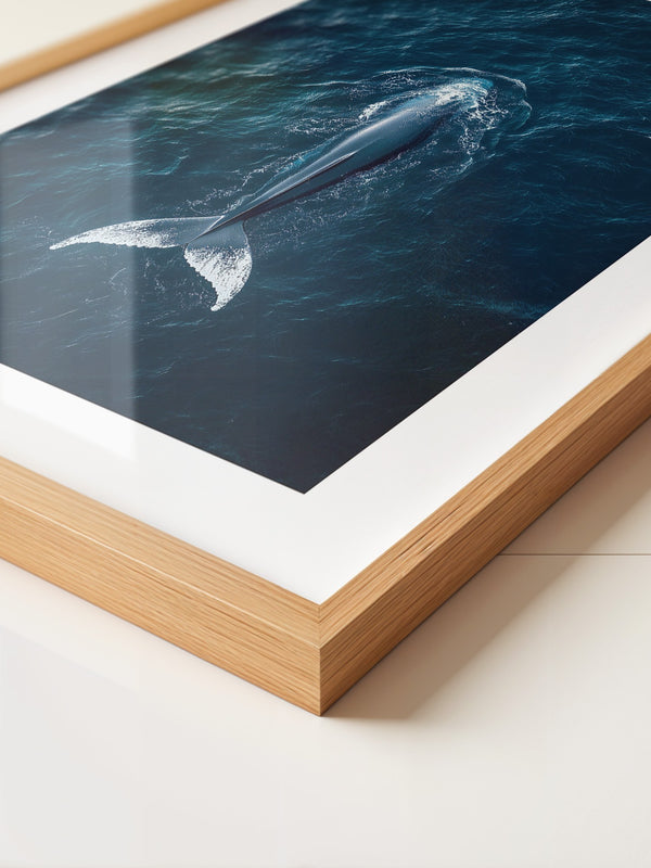 Wal im Ozean Draufsicht