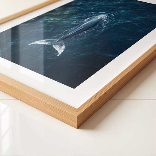 Wal im Ozean Draufsicht