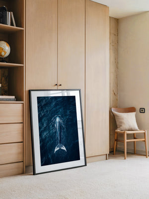 Wal im Ozean Draufsicht