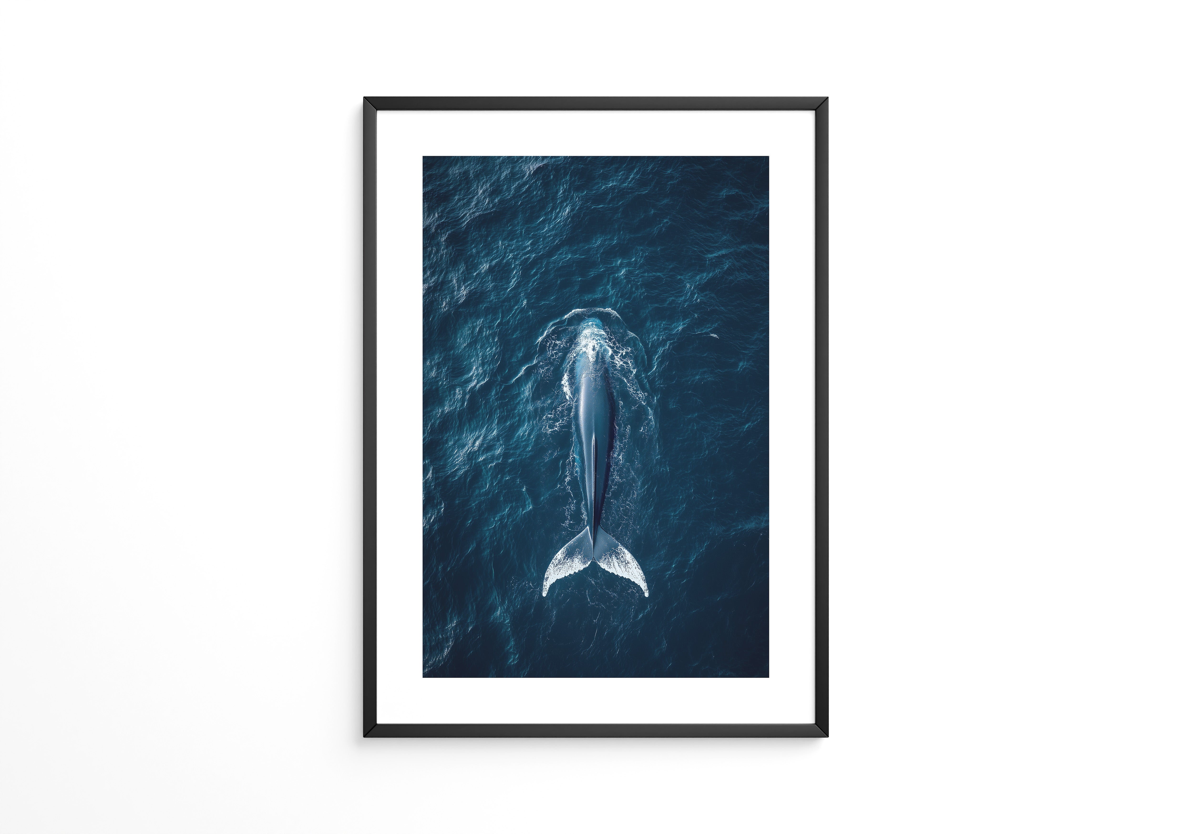 Wal im Ozean Draufsicht