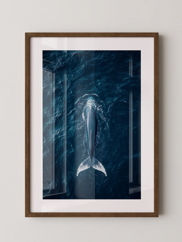 Wal im Ozean Draufsicht