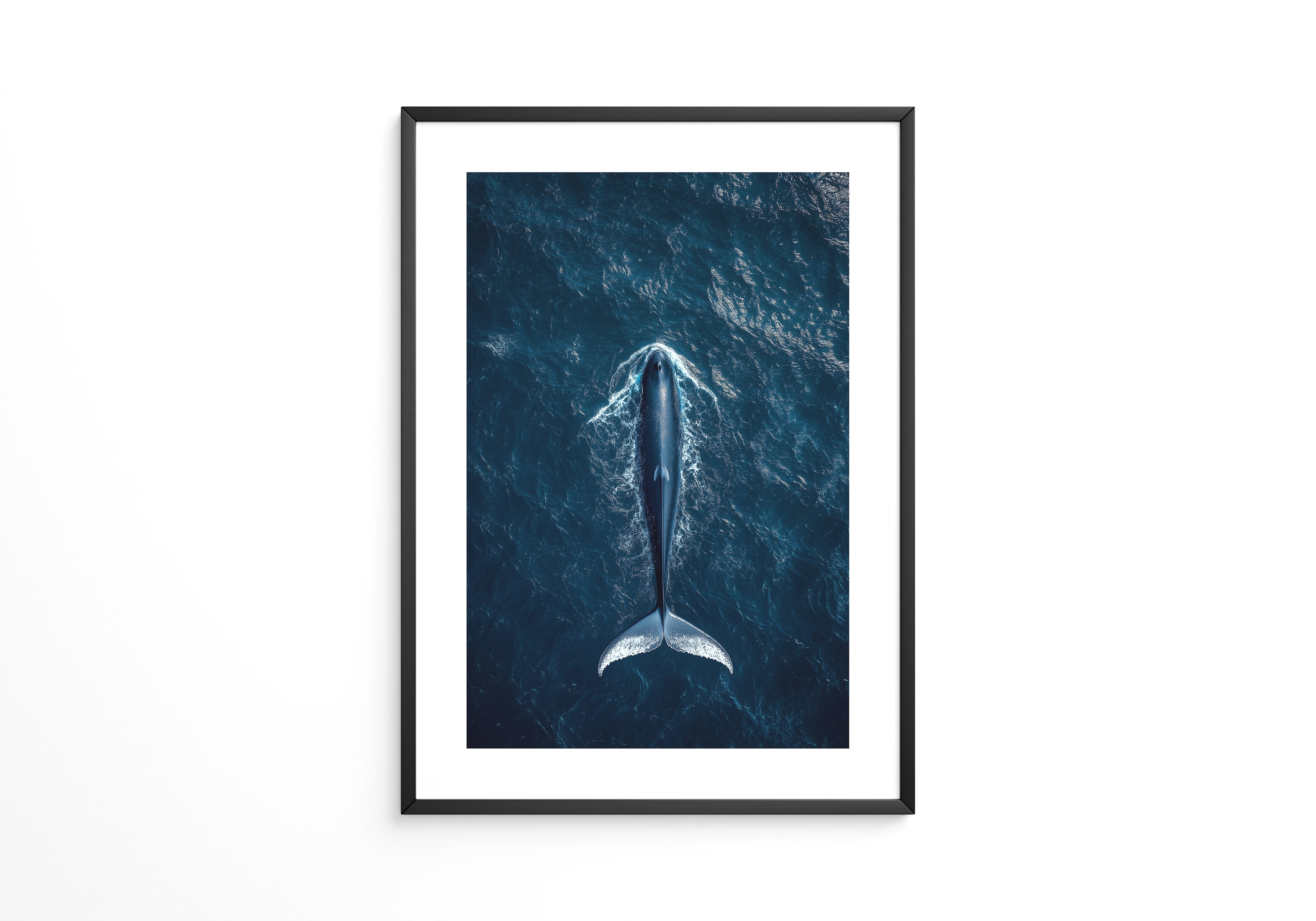 Wal Tiefblau Draufsicht