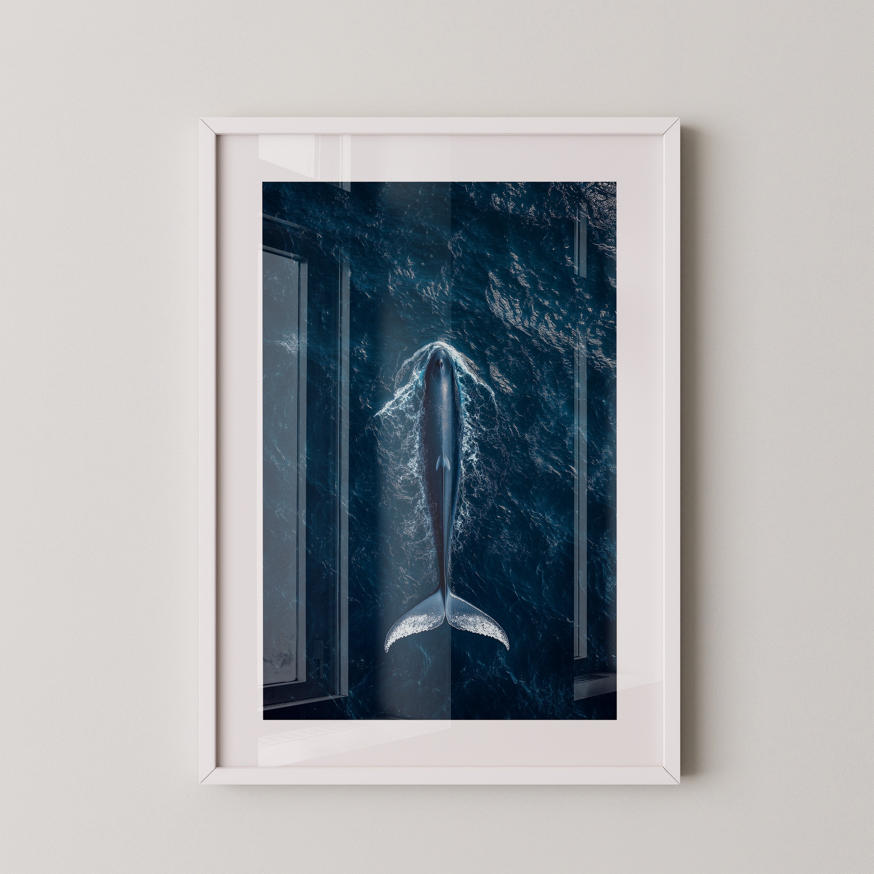 Wal Tiefblau Draufsicht