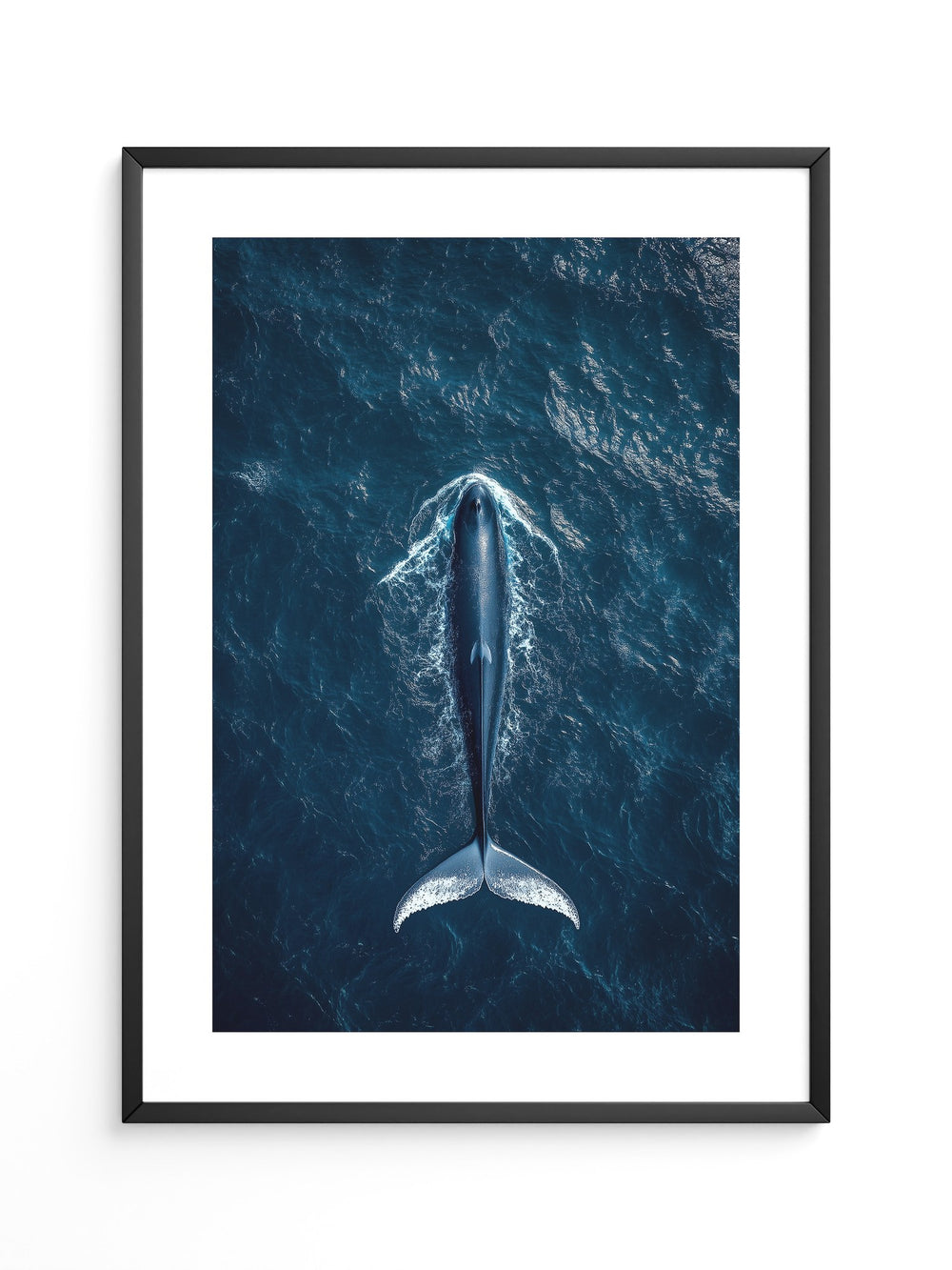 Wal Tiefblau Draufsicht