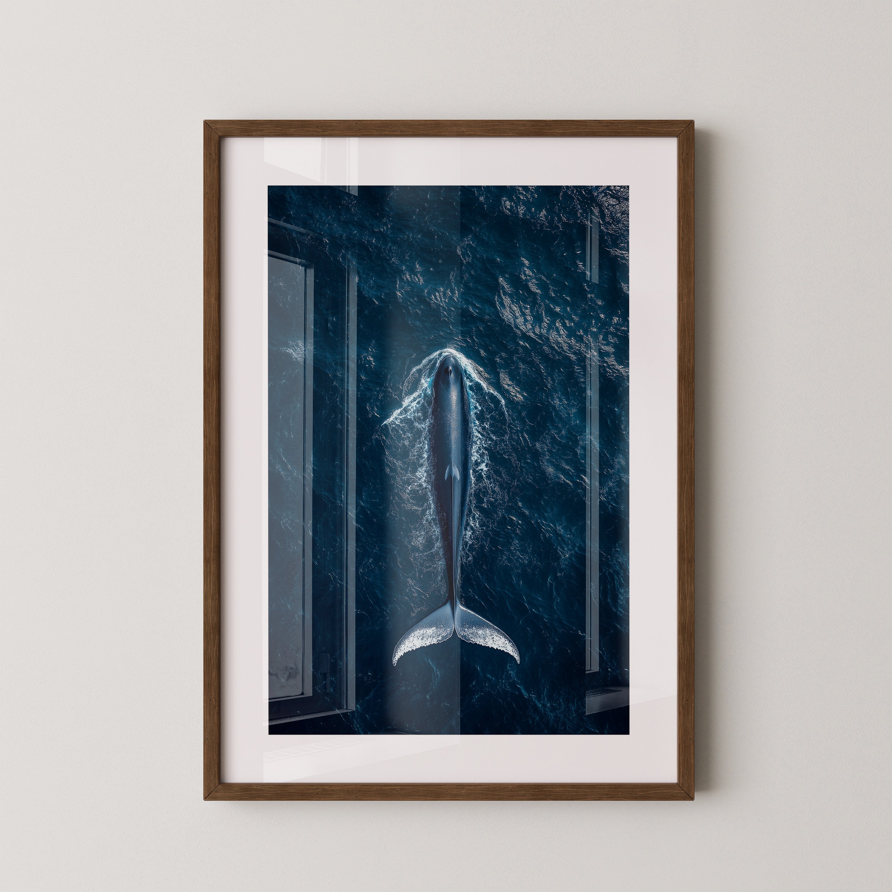 Wal Tiefblau Draufsicht