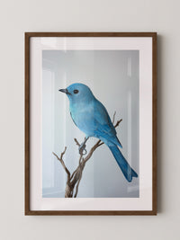 Blauer Vogel auf Zweig