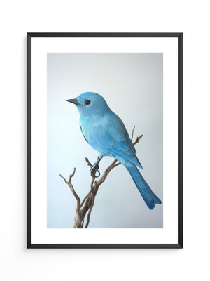 Blauer Vogel auf Zweig