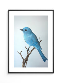 Blauer Vogel auf Zweig
