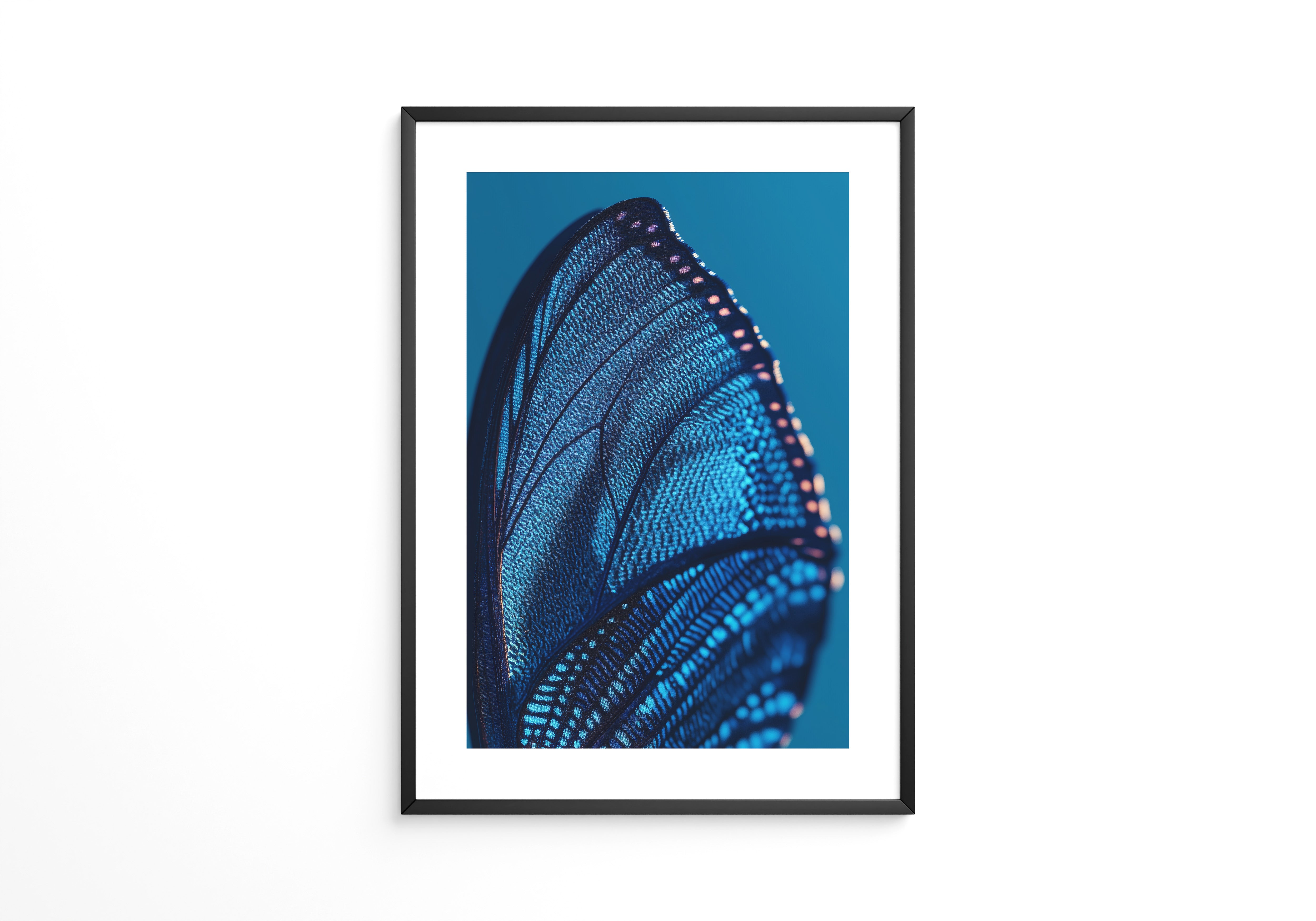 Schmetterlingsflügel Blau Makro