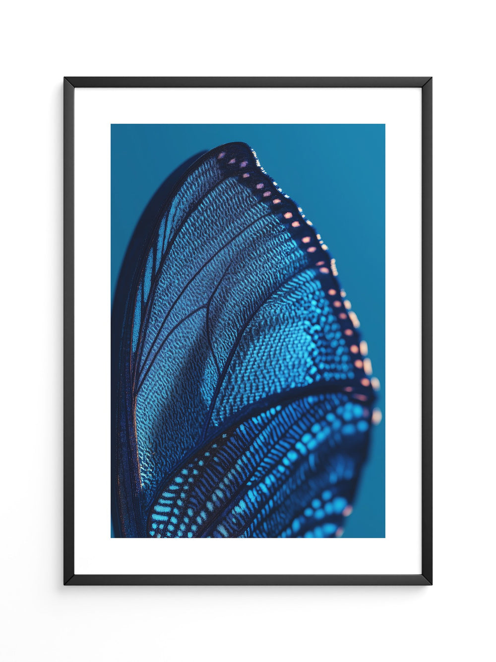 Schmetterlingsflügel Blau Makro