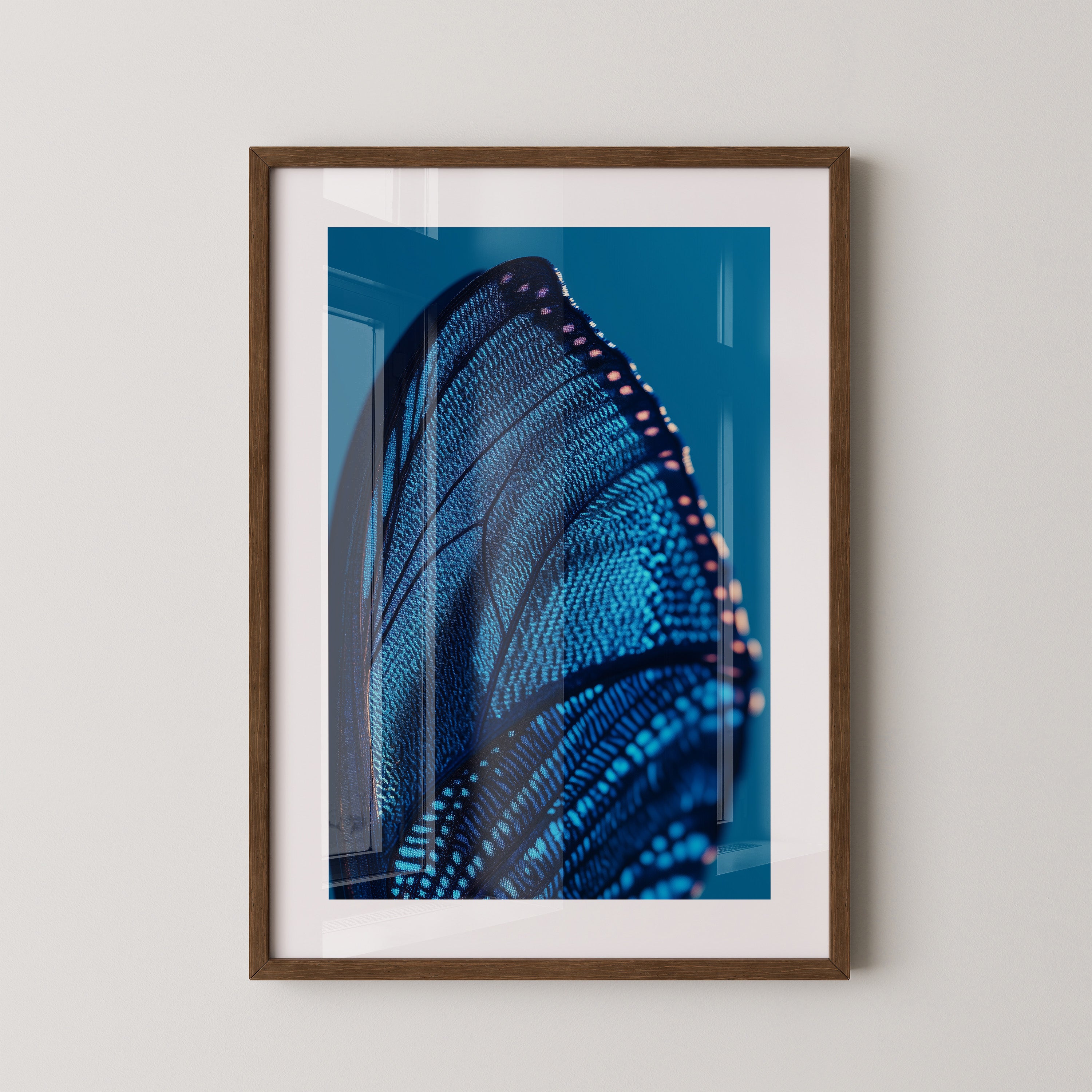 Schmetterlingsflügel Blau Makro