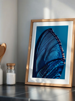 Schmetterlingsflügel Blau Makro