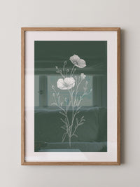 Mohnblumen minimalistisch grün