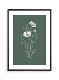 Mohnblumen minimalistisch grün