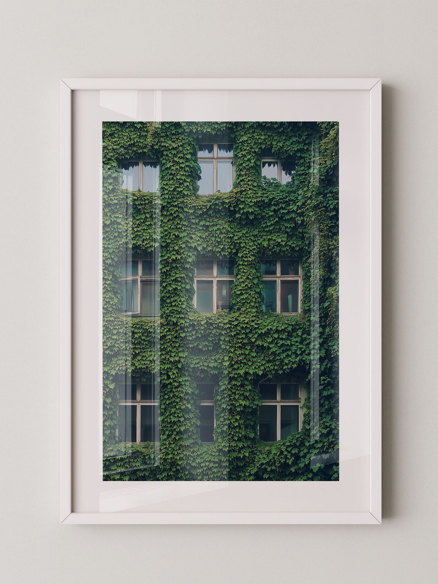 Fenster Fassade grün bewachsen