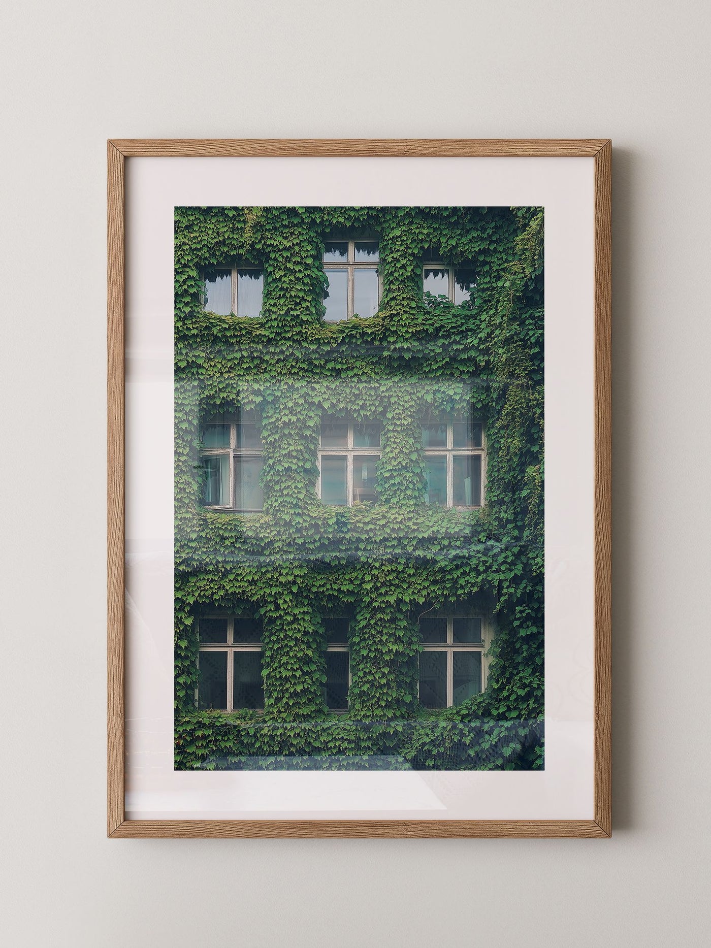 Fenster Fassade grün bewachsen