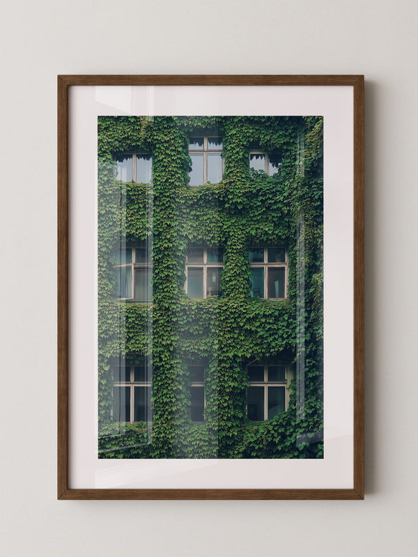 Fenster Fassade grün bewachsen