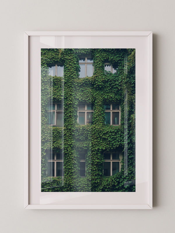 Fenster Fassade grün bewachsen