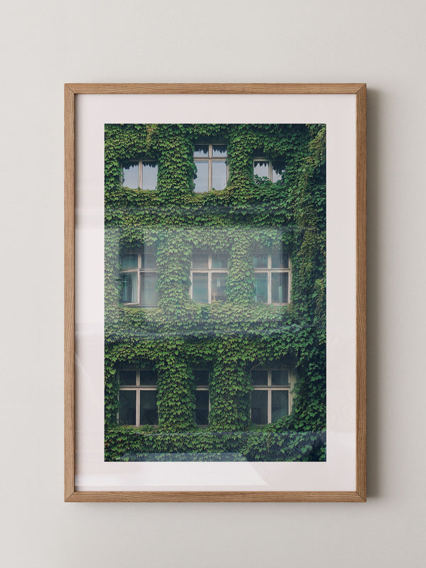 Fenster Fassade grün bewachsen