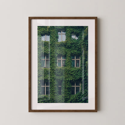 Fenster Fassade grün bewachsen