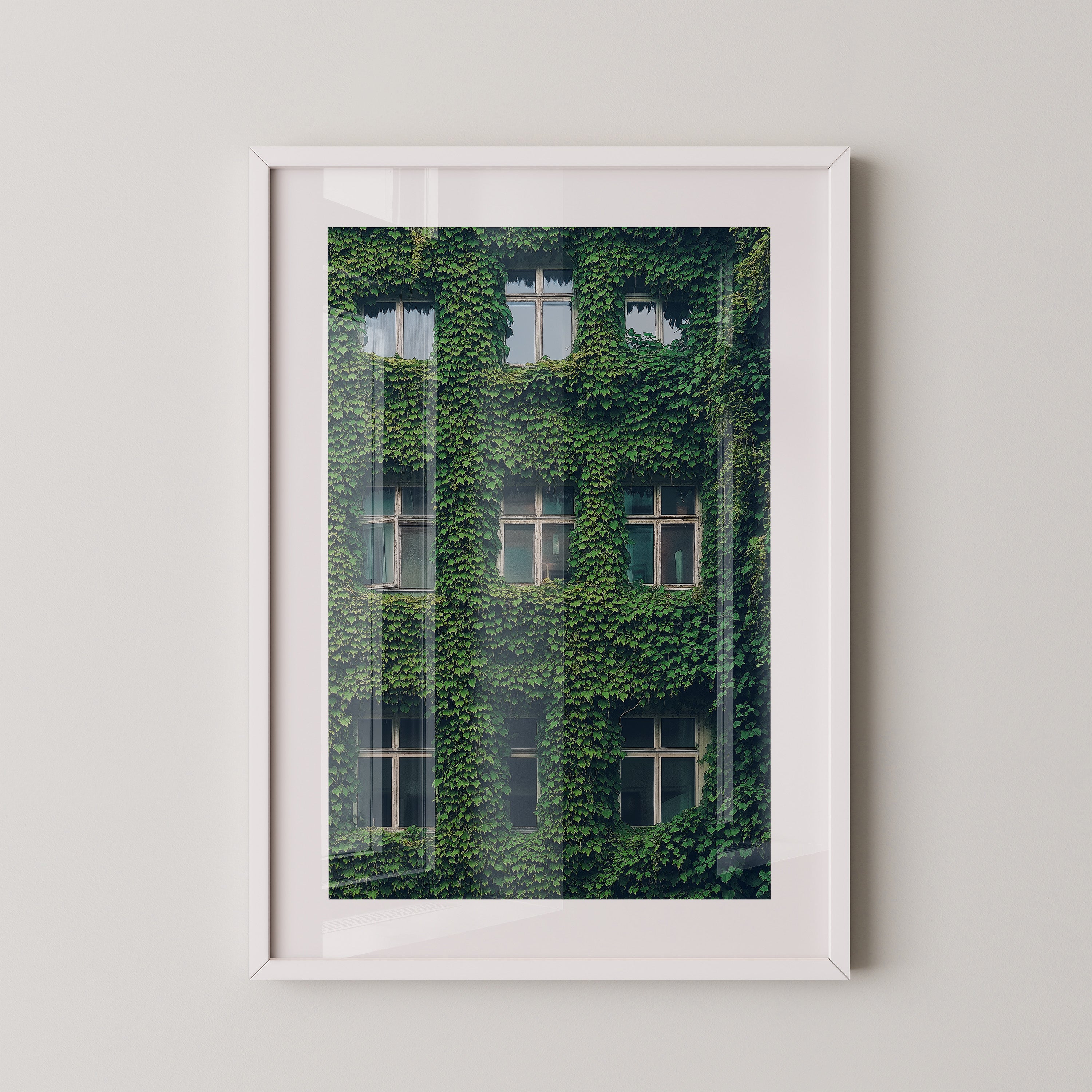 Fenster Fassade grün bewachsen