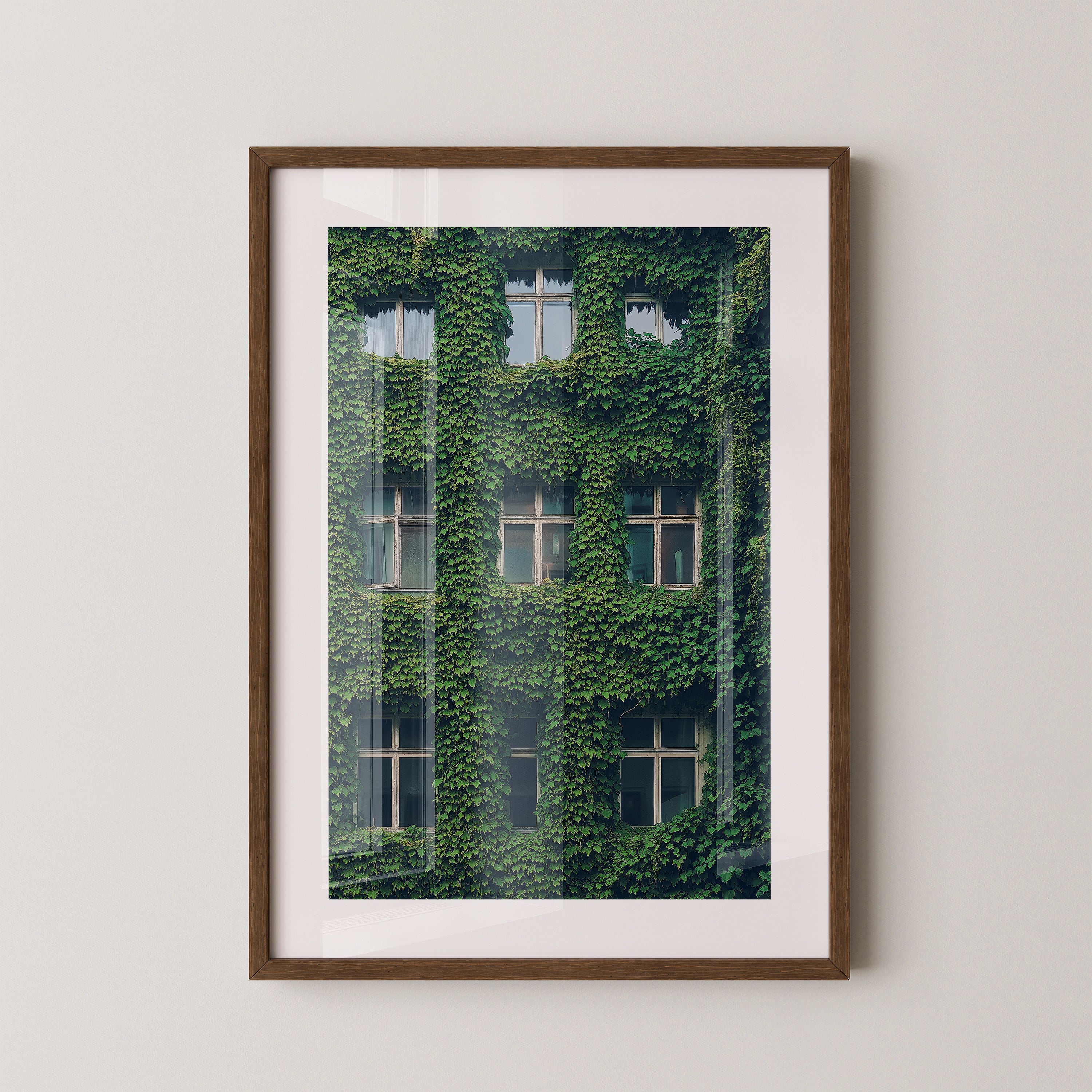 Fenster Fassade grün bewachsen