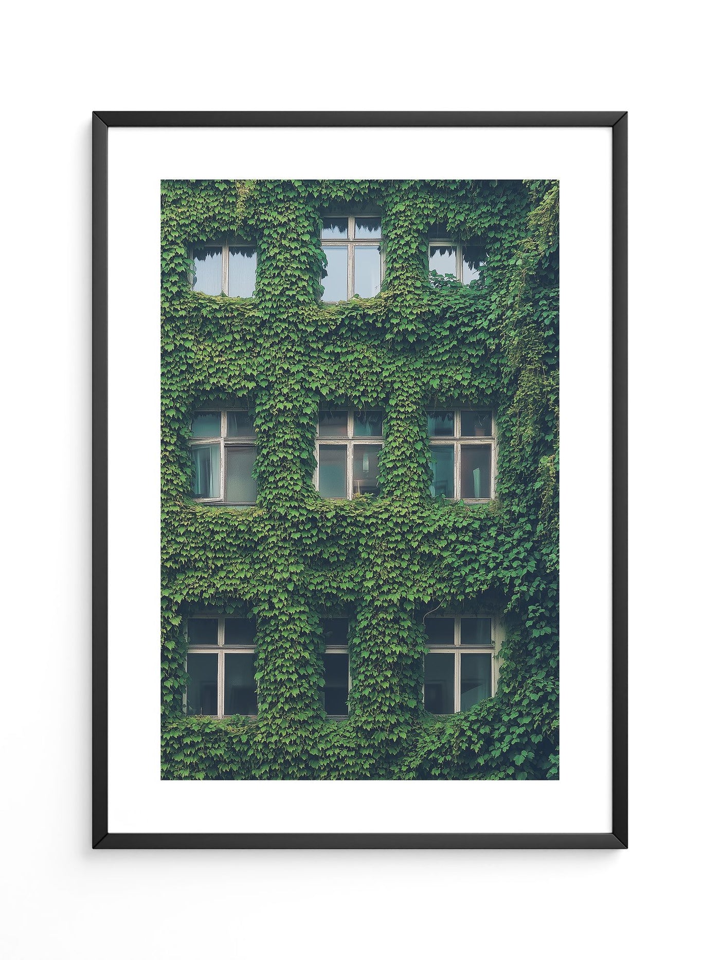 Fenster Fassade grün bewachsen