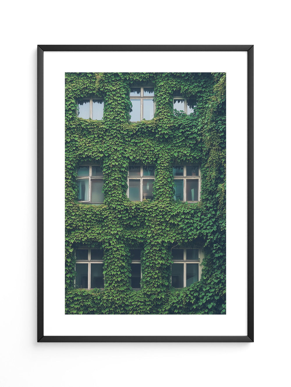Fenster Fassade grün bewachsen
