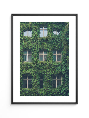 Fenster Fassade grün bewachsen