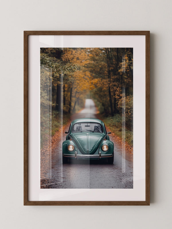 Grüner Käfer Herbststraße