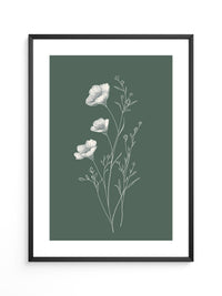 Blumen Illustration grün