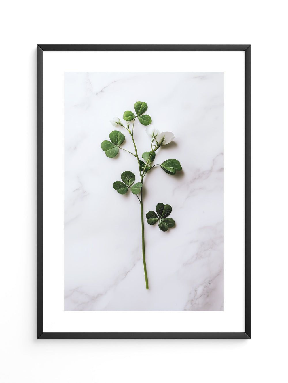 Klee Zweig Marmor Hintergrund