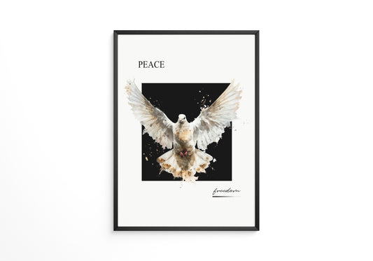 Taube Aquarell Flügelspiegelung