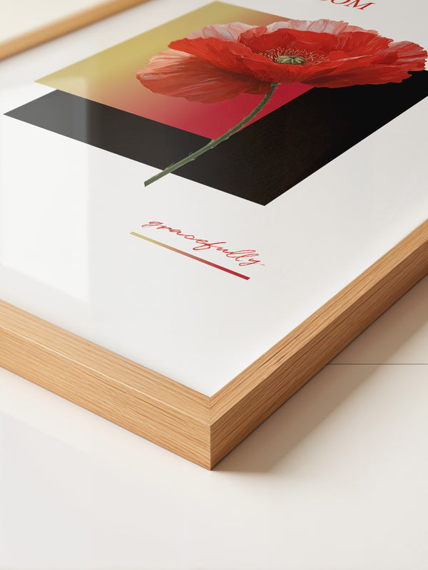 Roter Mohn Blüte Grafik