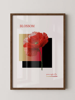 Roter Mohn Blüte Grafik