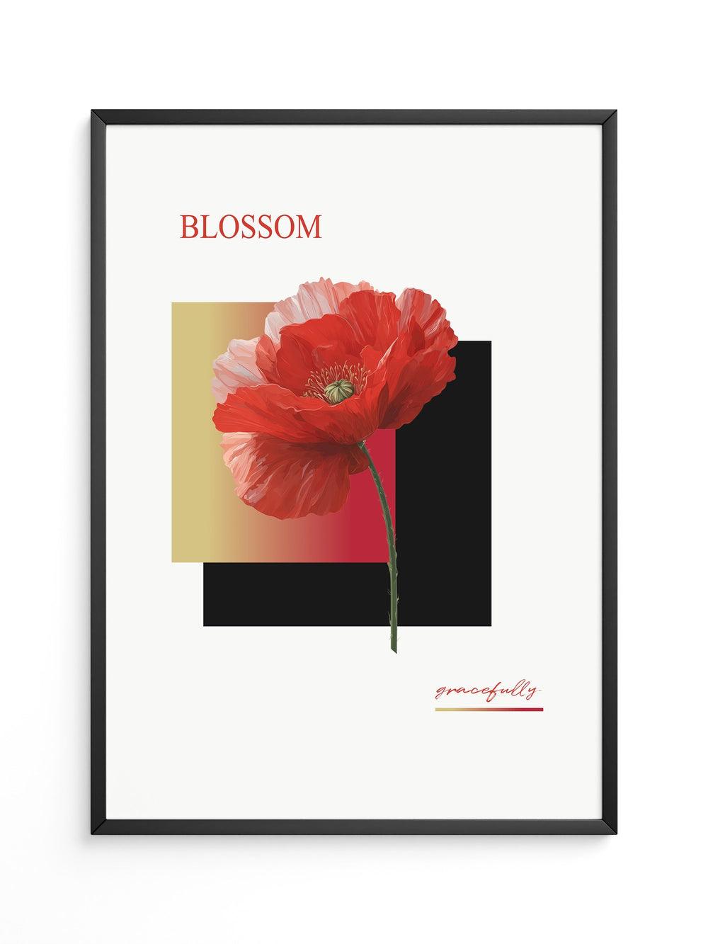 Roter Mohn Blüte Grafik